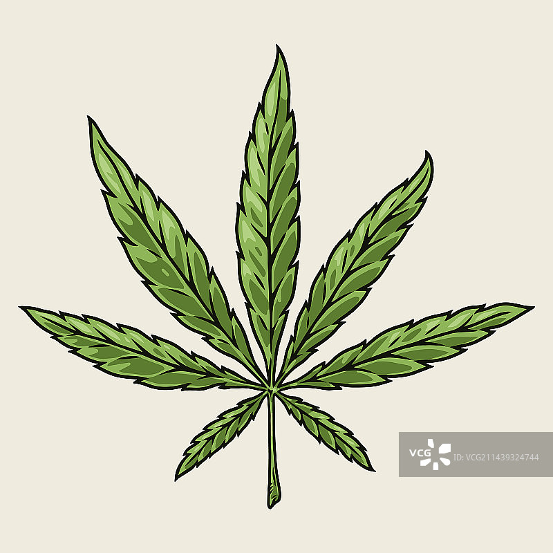 彩色大麻叶海报图片素材