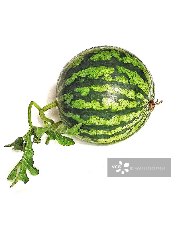 新鲜的无籽西瓜图片素材