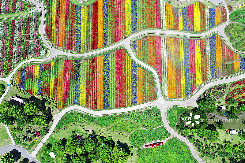 周浦花海图片素材