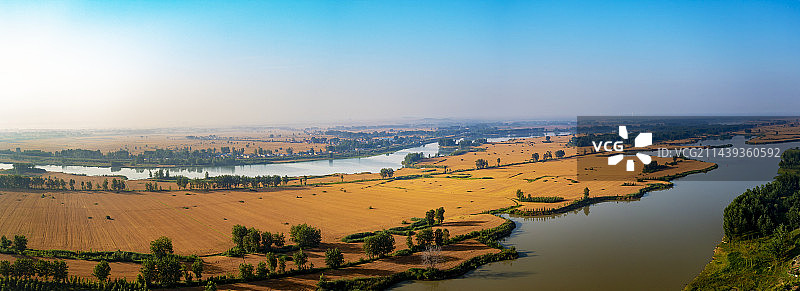 淮河岸边的金色麦田图片素材
