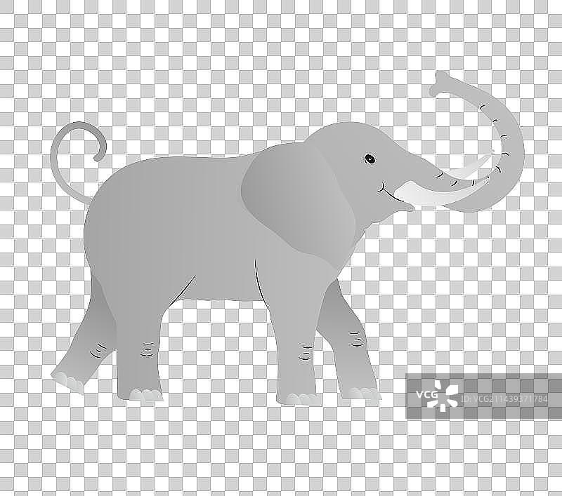 中国风国家野生保护动物公园马戏团大象大笨象图片素材