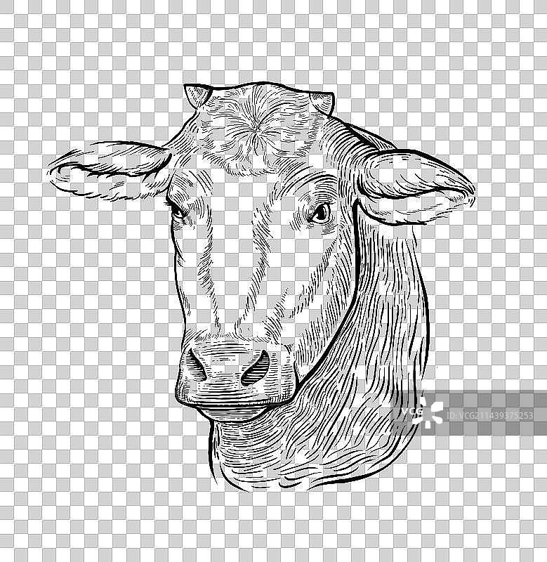 黄牛头版画png图片素材