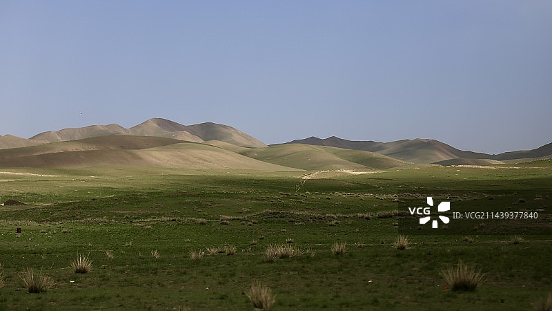 桑科草原图片素材