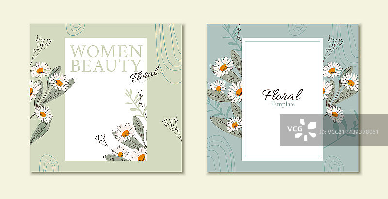 手绘小雏菊与线条装饰卡片模板素材图片素材