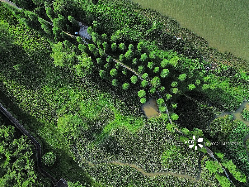 公园一角图片素材