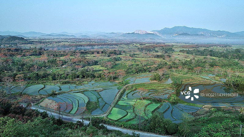 海南昌江霸王岭 木棉花开图片素材
