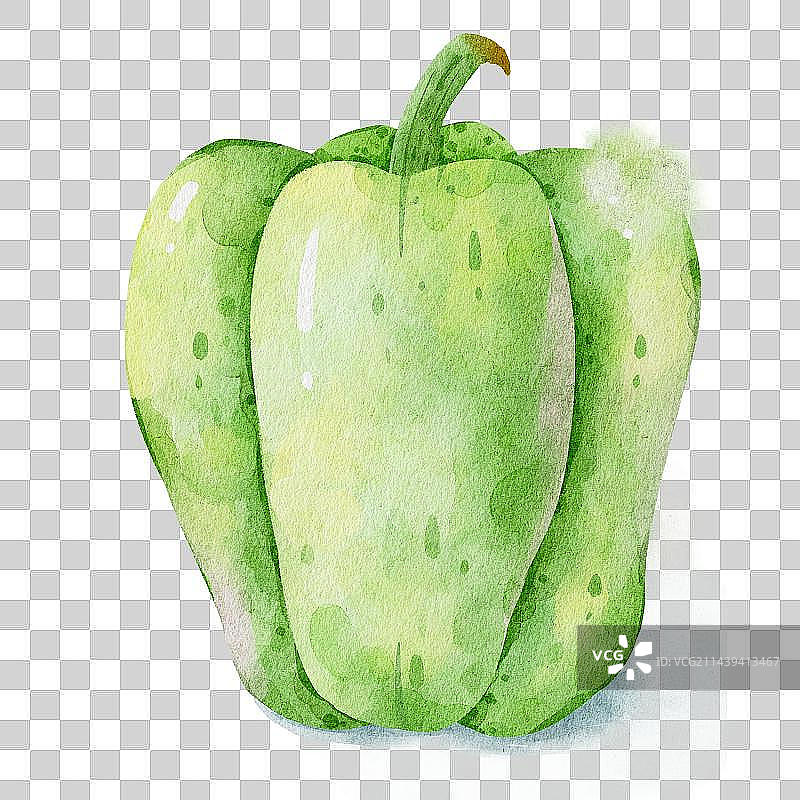 水彩蔬菜青椒插画图片素材