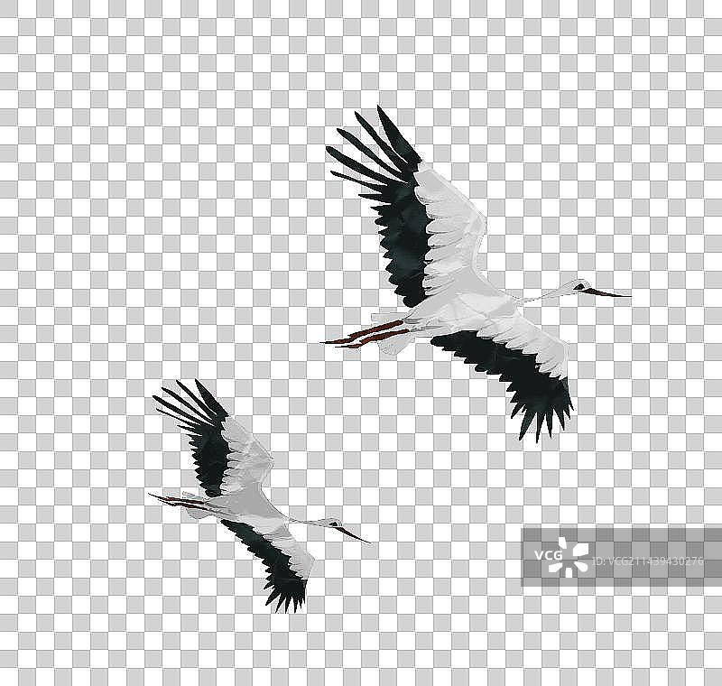 仙鹤插画元素图片素材