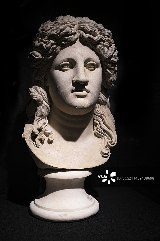 意大利庞贝古城精品文物大理石雕像青年酒神头像图片素材