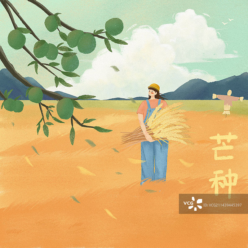 二十四节气芒种商业插画图片素材
