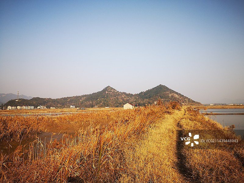 滩涂山区远景图片素材