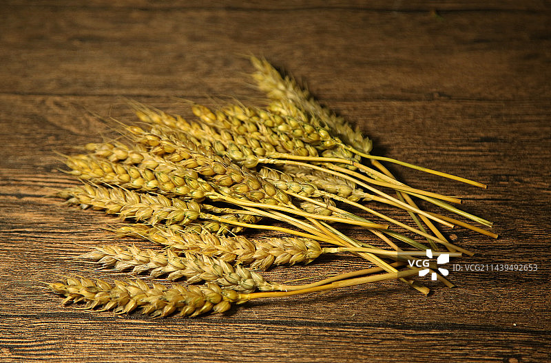 丰收的麦穗图片素材