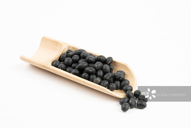 黑豆图片素材