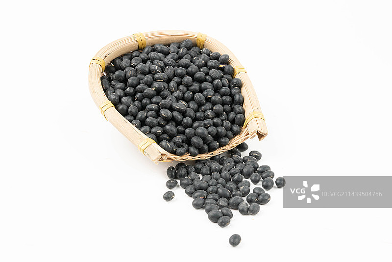 黑豆图片素材