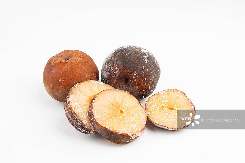 冻梨果实图片素材