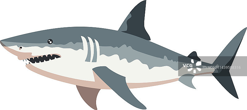 怪诞水下鲨鱼设计图片素材
