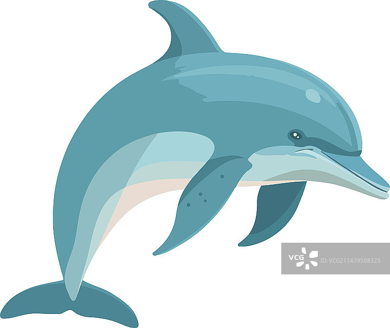 象征着水下嬉戏乐趣的跳跃海豚图片素材