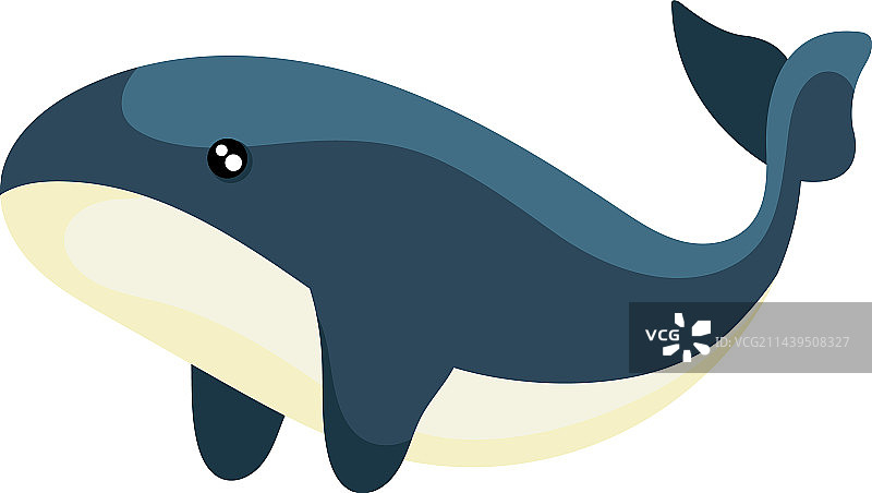 在蓝色水下波浪中游泳的可爱鲸鱼图片素材