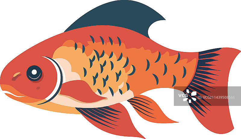 在蓝色水中游泳的金鱼图片素材