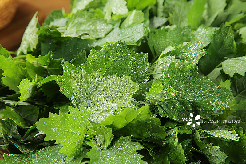 深底上的灰灰菜图片素材