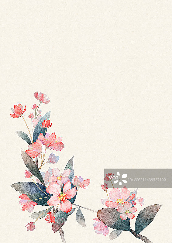 水彩水墨苹果花插画图片素材