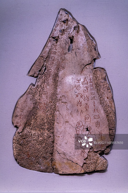 刻辞卜骨图片素材