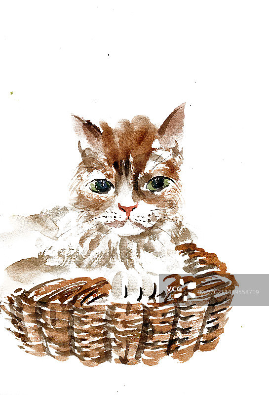 筐中的小猫图片素材