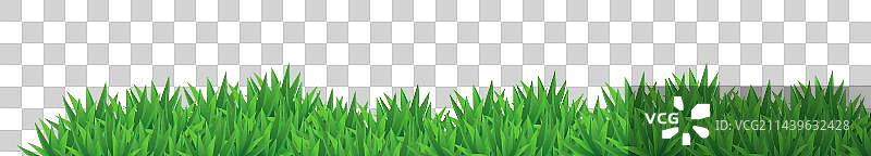 一片草丛图片素材