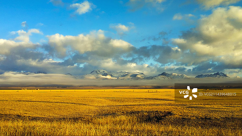 新疆巴音布鲁克草原图片素材