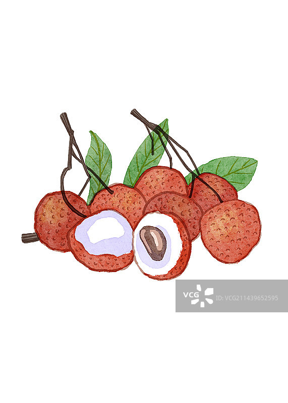 夏季水果荔枝图片素材