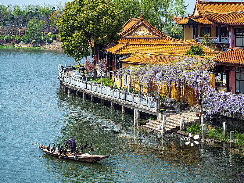 邵伯湖畔风光美图片素材