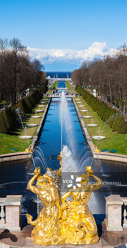 晴朗天气下的俄罗斯圣彼得堡夏宫彼得霍夫宫喷泉远眺图片素材