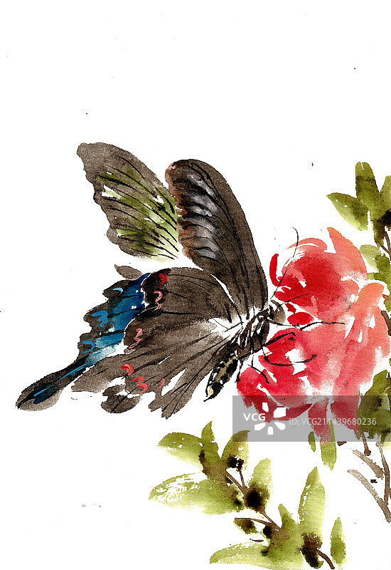 黑色的蝴蝶图片素材