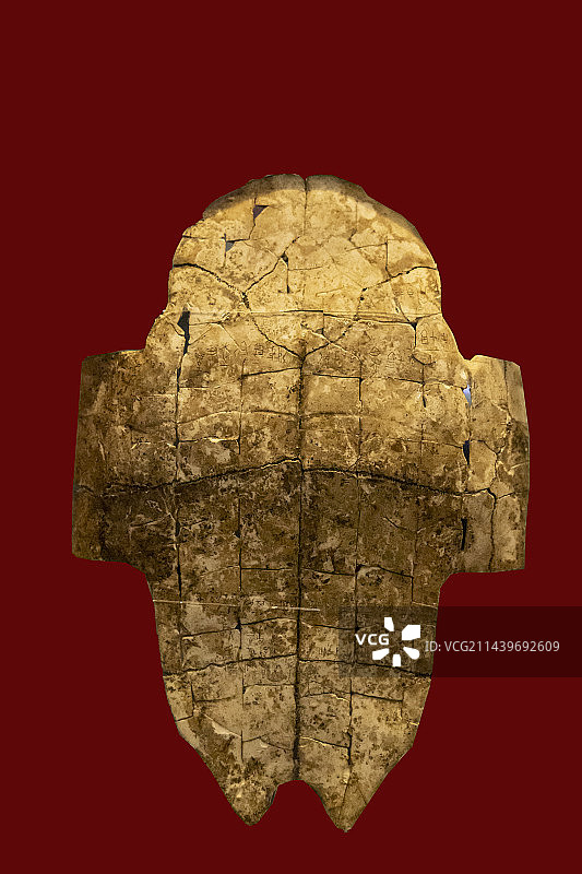 河南省安阳市殷墟宫殿宗庙遗址殷墟博物馆：刻辞卜甲（1991年花园庄东地H3出土）图片素材