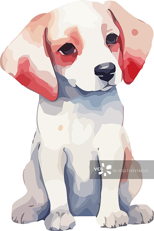 小狗和朋友嬉戏图片素材