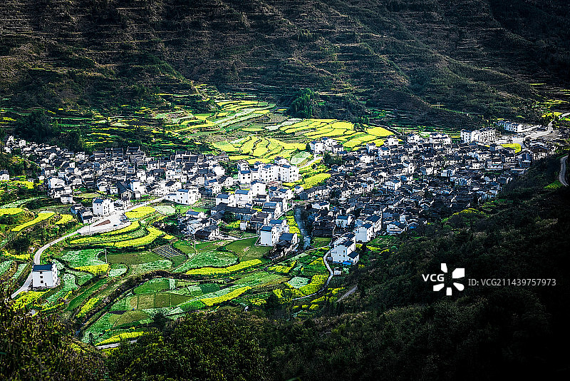 山村春晓图片素材