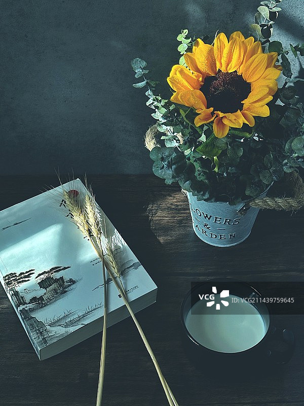 静物•旧时光图片素材