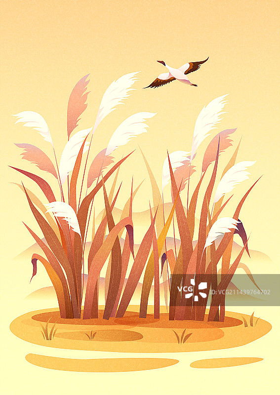 矢量清新植物节气插画白露图片素材