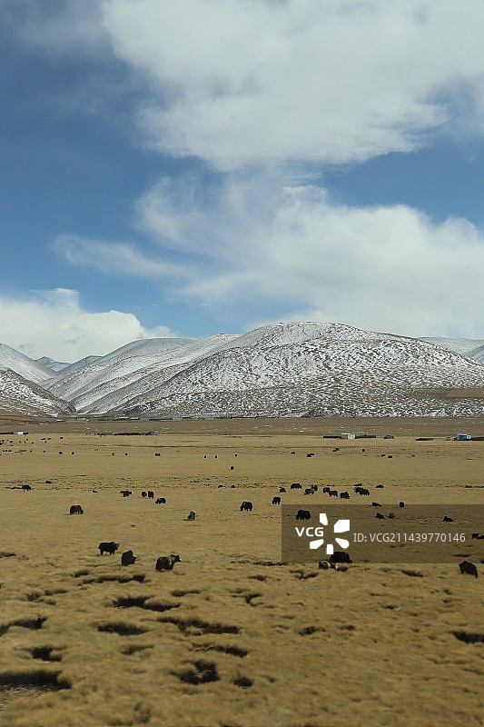 进藏旅途图片素材
