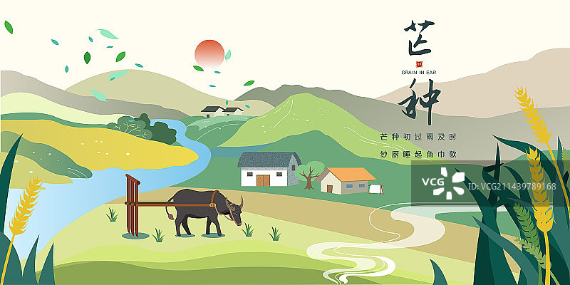 芒种展板模版图片素材