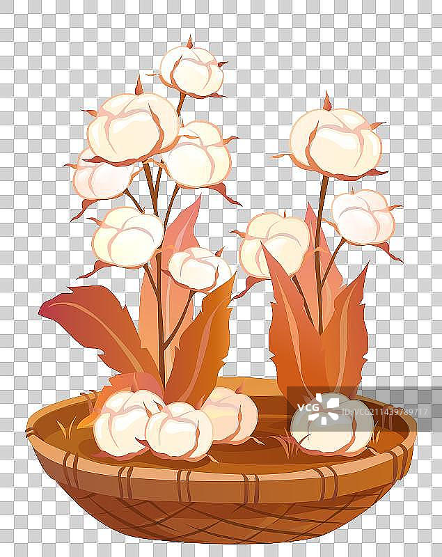 箩筐和棉花插画图素图片素材