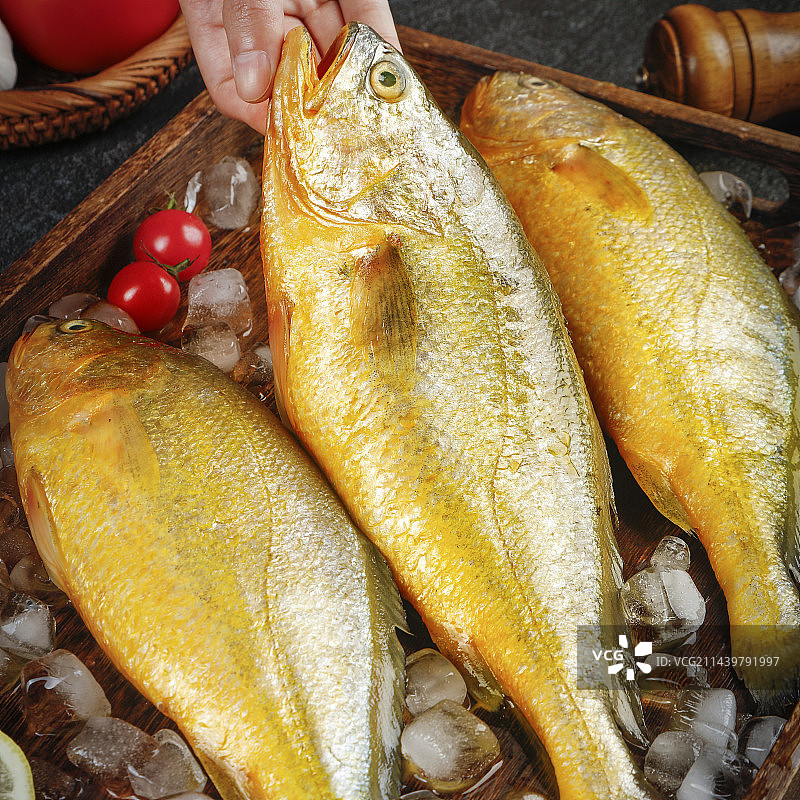 深底上的黄鱼图片素材