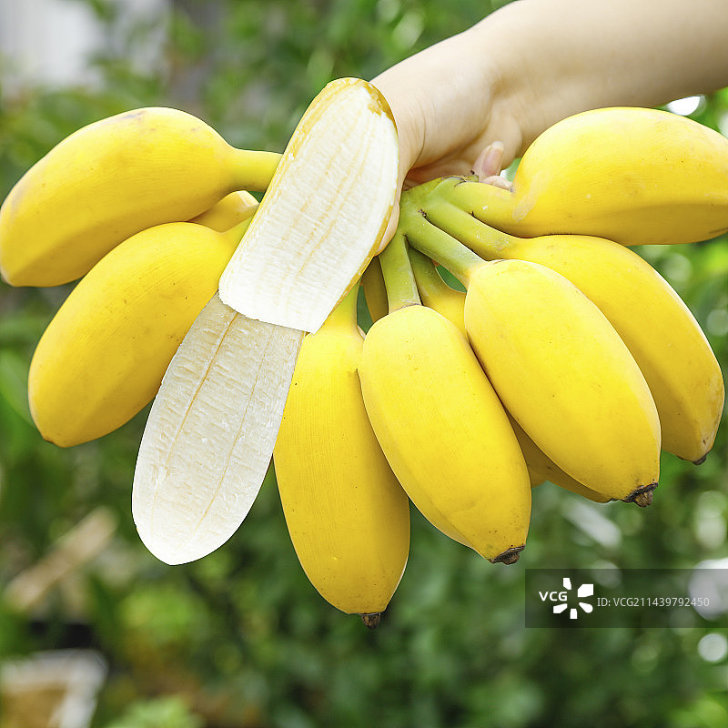 手里拿着苹果蕉图片素材