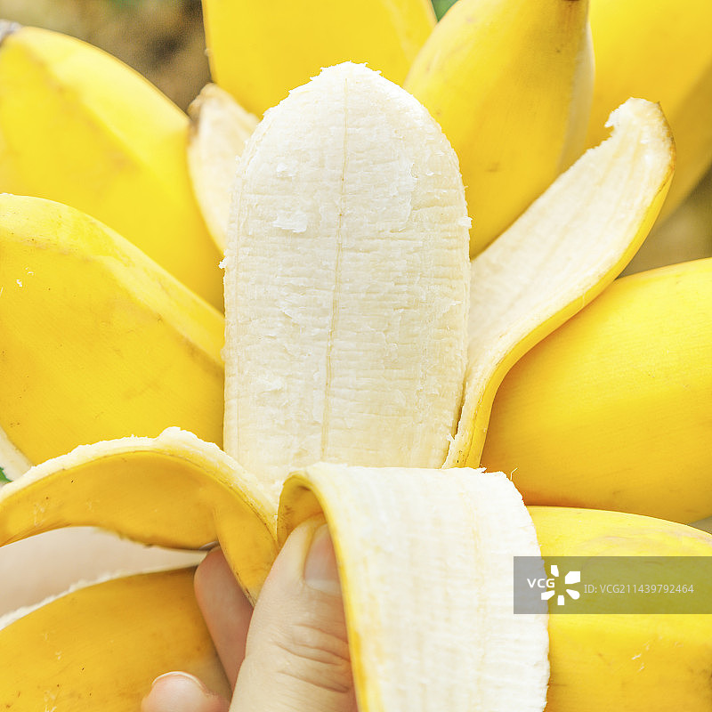 手里拿着苹果蕉图片素材