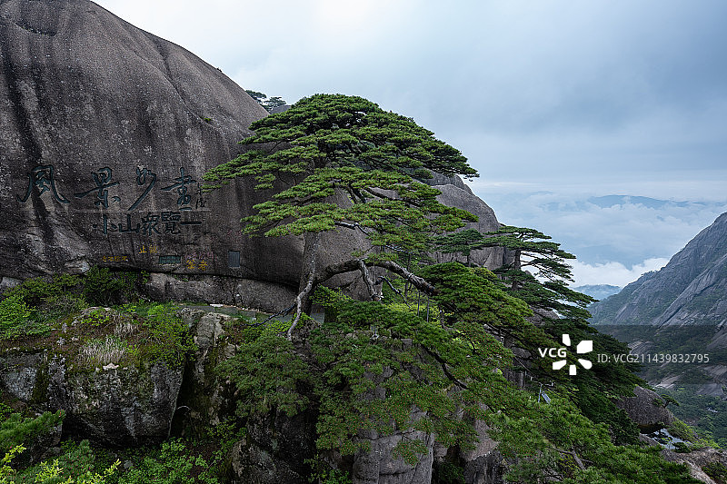 黄山风光-天下第一松迎客松图片素材