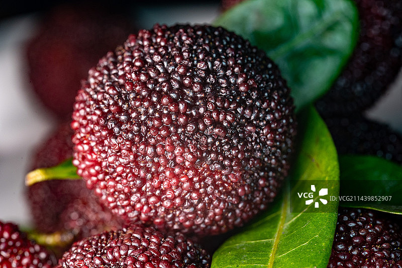 可口诱人的杨梅特写图片素材