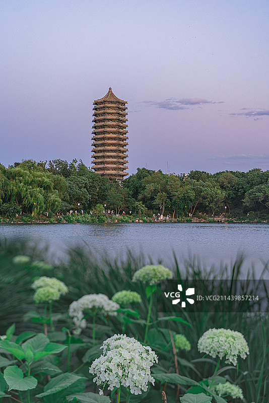 夕阳下的博雅塔图片素材