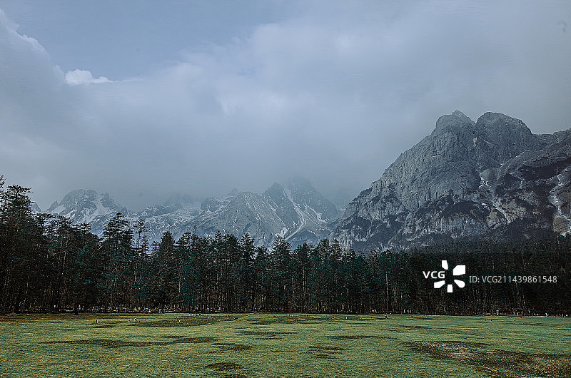 云杉坪图片素材