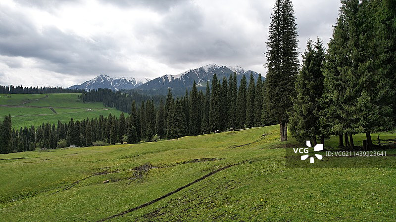 新疆伊犁巩留县库尔德宁景区图片素材