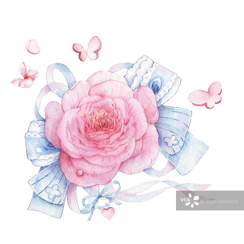 白色背景下水彩手绘粉红色玫瑰花蕾丝飘带的特写镜头图片素材
